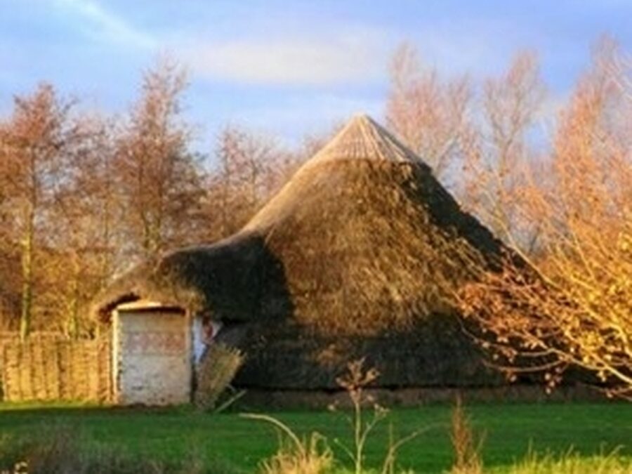 Iron Age Round House reconstruction at Flag Fen to be built this spring.